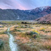 Santa Rosa and San Jacinto Mountains, CA (BLM & USFS)
