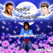 Noveliss - Kenjutsu Under the Moonlight