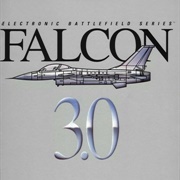 Falcon 3.0 (1991)