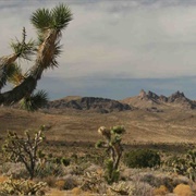 Castle Mountains, CA (NPS)