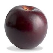 Arkansas Black Apple