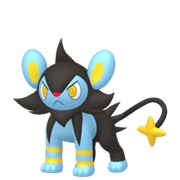 Luxio (Male)