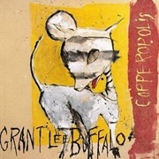 Copperopolis - Grant Lee Buffalo