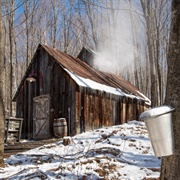 Sugar Shacks of Quebec, Canada