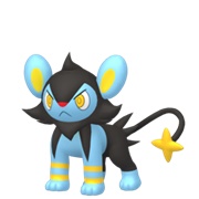 Luxio (Female)