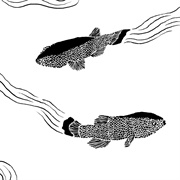 #192 the Devil's Hole Pupfish