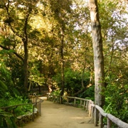 Ferndell Nature Museum
