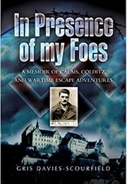 In Presence of My Foes (Gris Davies-Scourfield)
