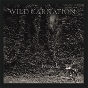 Wild Carnation - Tricycle