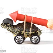 Red Rocket Turtle