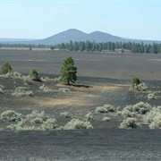 Cinder Lake Crater Field