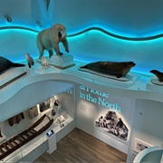 Peary-MacMillan Arctic Museum