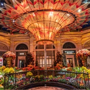 Bellagio Conservatory & Botanical Garden