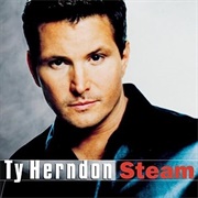 Hands on a Working Man - Ty Herndon