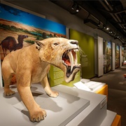 University of Nebraska State Museum - Morrill Hall