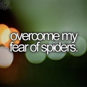 Overcome My Fear of Spiders