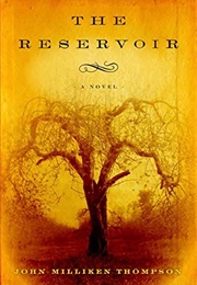 The Reservoir (John Milliken Thompson)