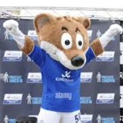 Filbert Fox