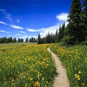 Spend 30 Minutes Outside Every Day