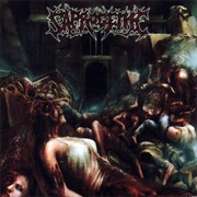 Saprogenic - The Wet Sound of Flesh on Concrete