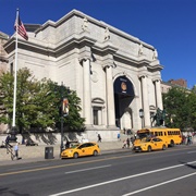 American Museum of Natural History, NYC