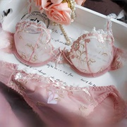 Seen a Woman Wearing a Bra