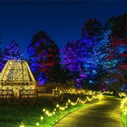 New York Botanical Garden GLOW (The Bronx)