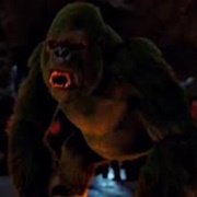Beast Boy Gorilla