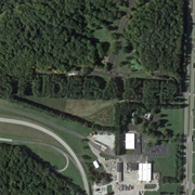 Studebaker Tree Sign