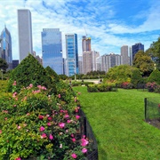 Grant Park, Chicago