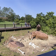 Diorama Pit at Big Bone Lick State Historic Site