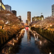 River Near Yomiuriland-Mae & Ikuta Stations, Kawasaki