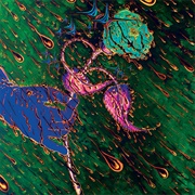 Grave Flowers Bongo Band - Strength of Spring