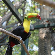 Cartagena Eco Park, Cartagena