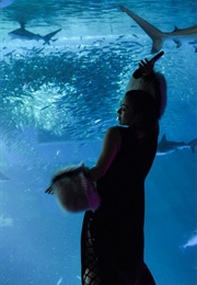 Somewhere Near Marseilles ーマルセイユ辺りー (Live at Sea Paradise) (2022)