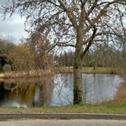 City Park Lake, Philippine