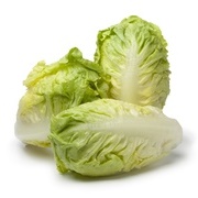 Little Gem Lettuce