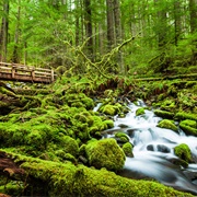 Olympic National Park, Washington State