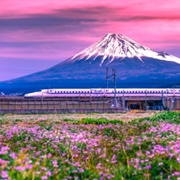 Bullet Train, Tokaido Shinkansen Line (Japan)