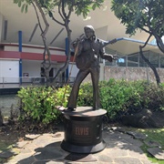 'Elvis: Aloha From Hawaii'