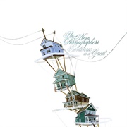 The New Pornographers - Continue as a Guest