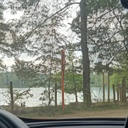 Hondenlosloopzone Lille