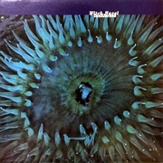 Witch Hazel - Landlocked