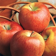 Braeburn Apple