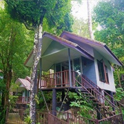 Rock and Treehouse Resort