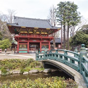 Stream at Nezu Shrine, Tokyo