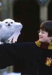 Harry Potter and the Sorcerer's Stone (2001)