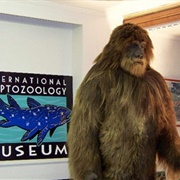 International Cryptozoology Museum