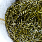 Seaweed Spaghetti