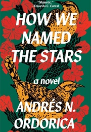 How We Named the Stars (Andres N. Ordorica)